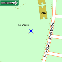 The Wave