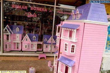 Carissa Barbie Dolls Houses