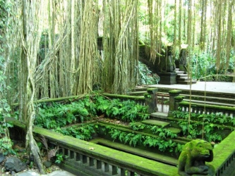 Monkey Forest @ Jalan Wanara-wana (Monkey Forest)