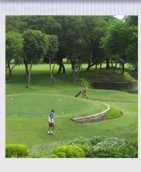 The Jakarta Golf Club @ Jalan Rawamangun Muka